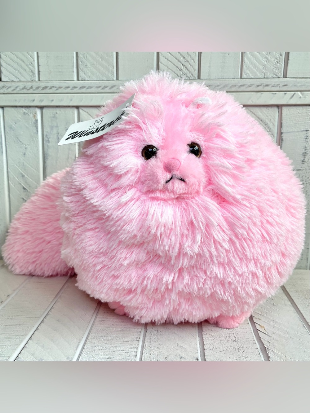 Winsterch Cat Plush Stuffed Animal Toy Pink 10” Cute Fluffy Soft Kitty Cat 2023